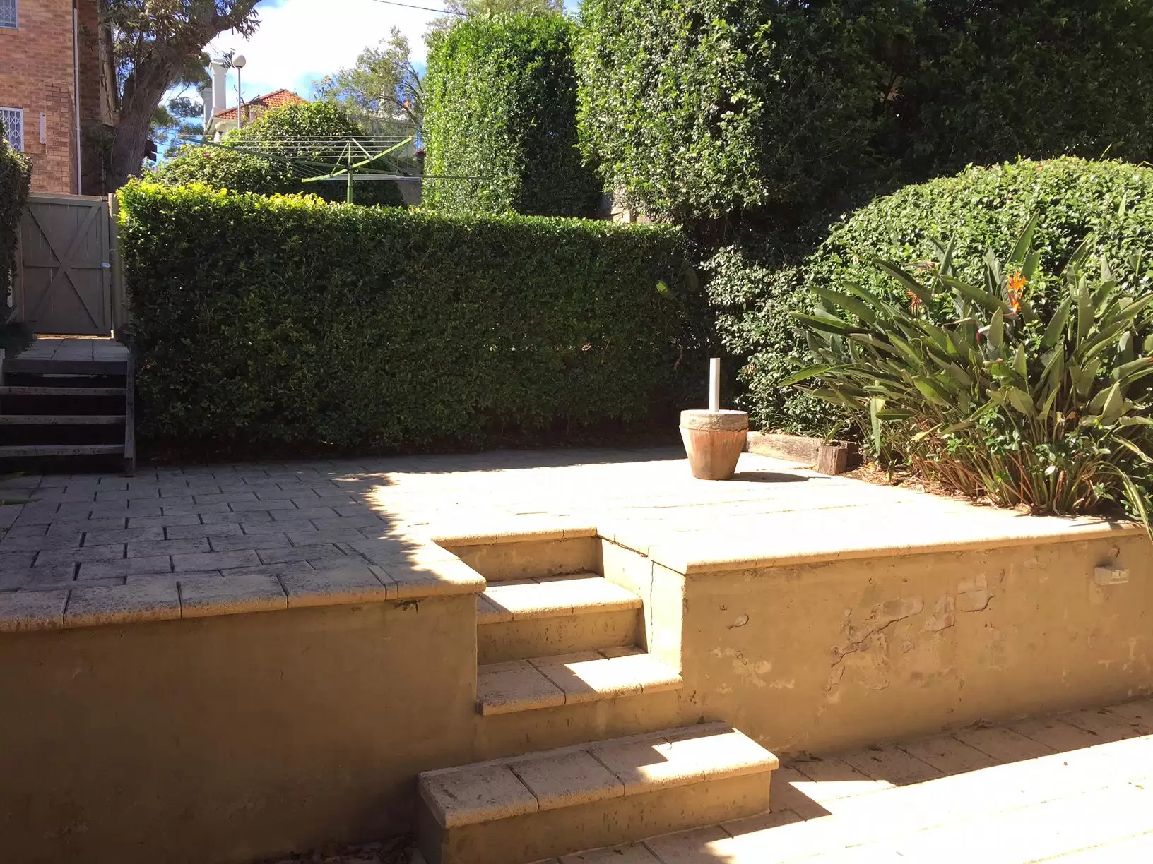 166 Carrington Road, Waverley For Lease by Raine & Horne Randwick | Coogee | Clovelly - image 3