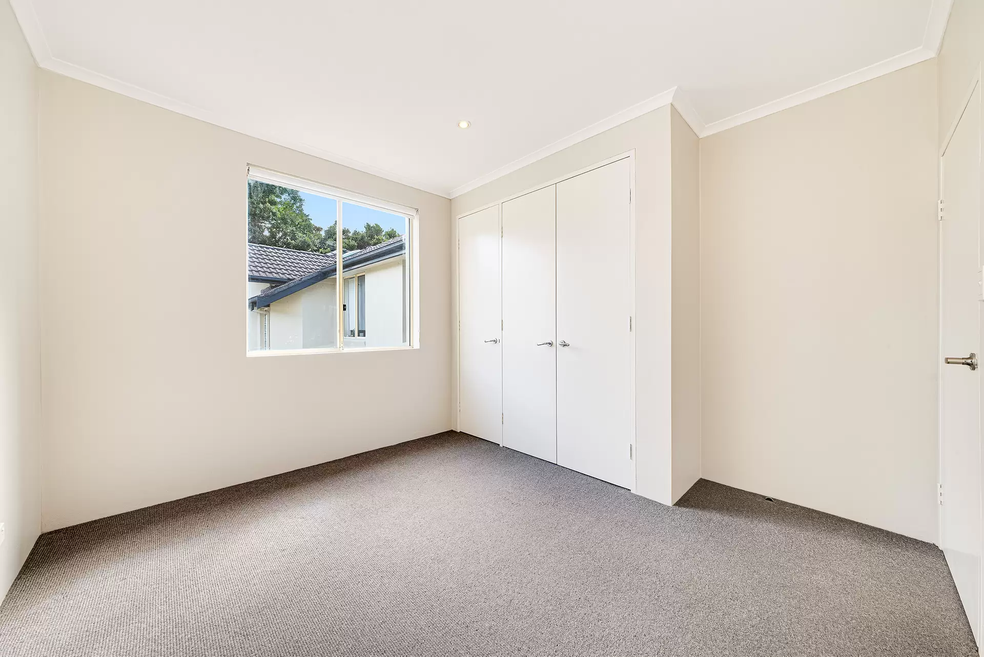 2/159 Perouse Road, Randwick For Lease by Raine & Horne Randwick | Coogee | Clovelly - image 1