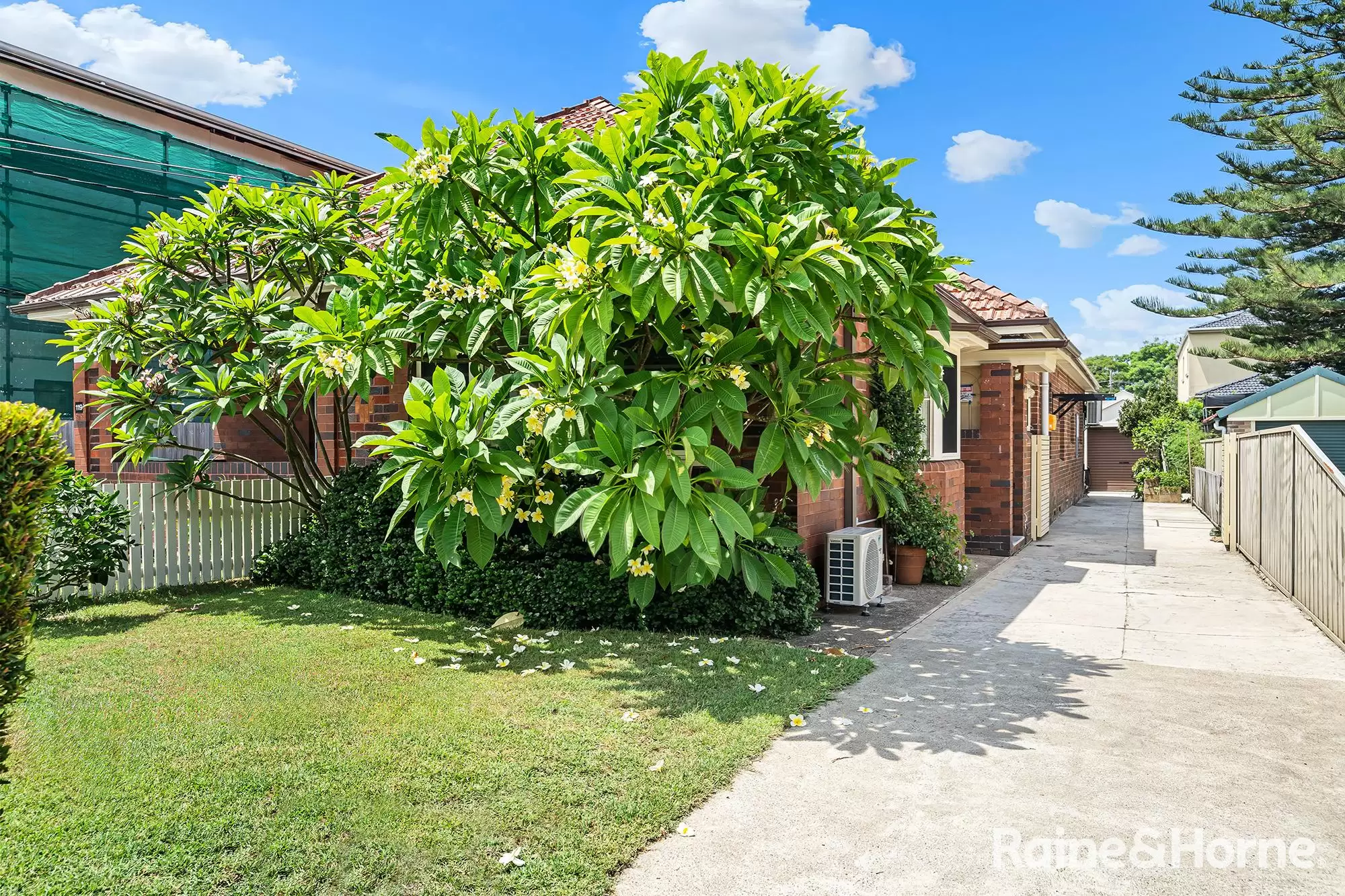 119A Cottenham Avenue, Kingsford Sold by Raine & Horne Randwick | Coogee | Clovelly - image 11