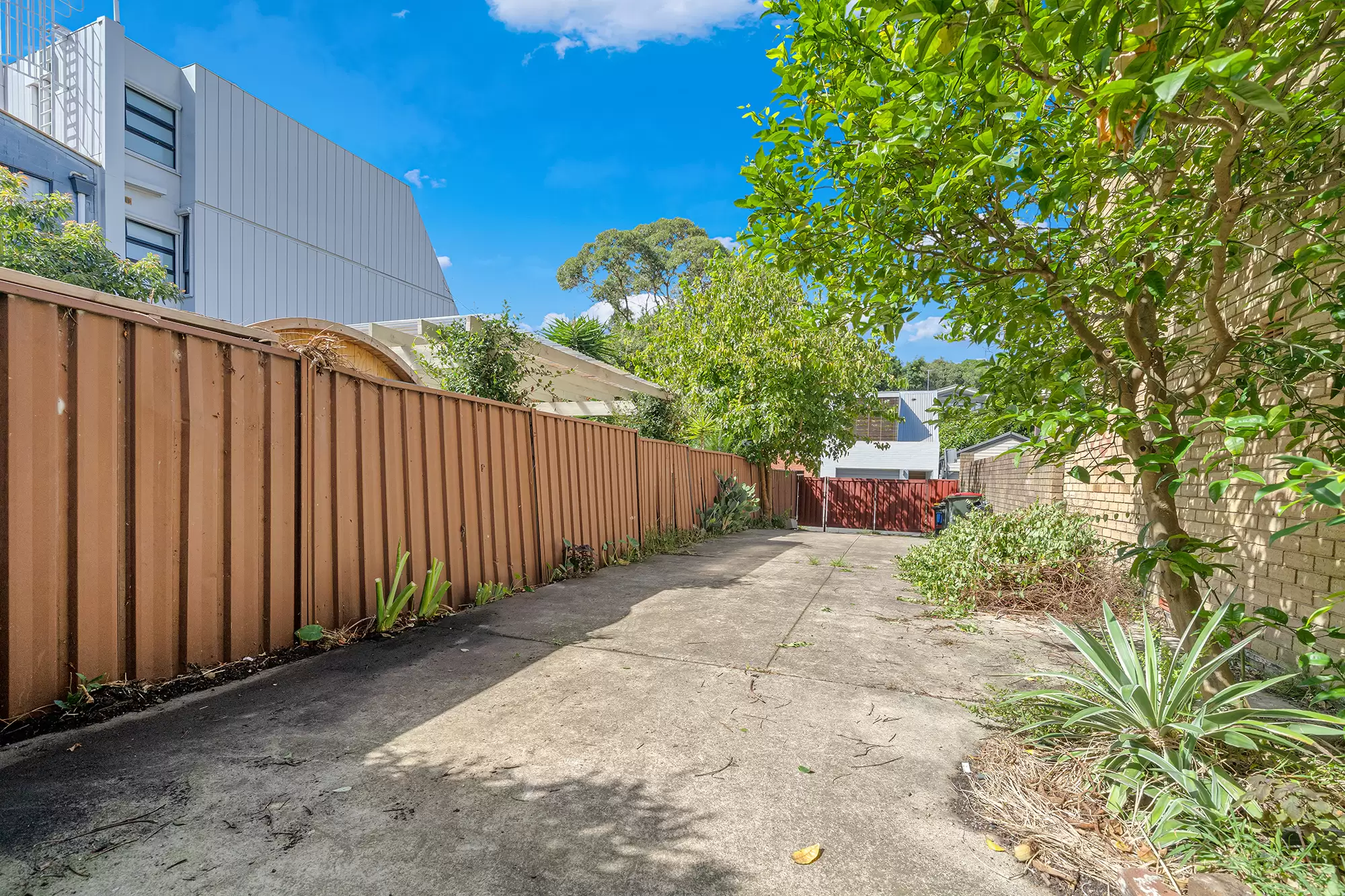 93 Bondi Road, Bondi For Sale by Raine & Horne Randwick | Coogee | Clovelly - image 12