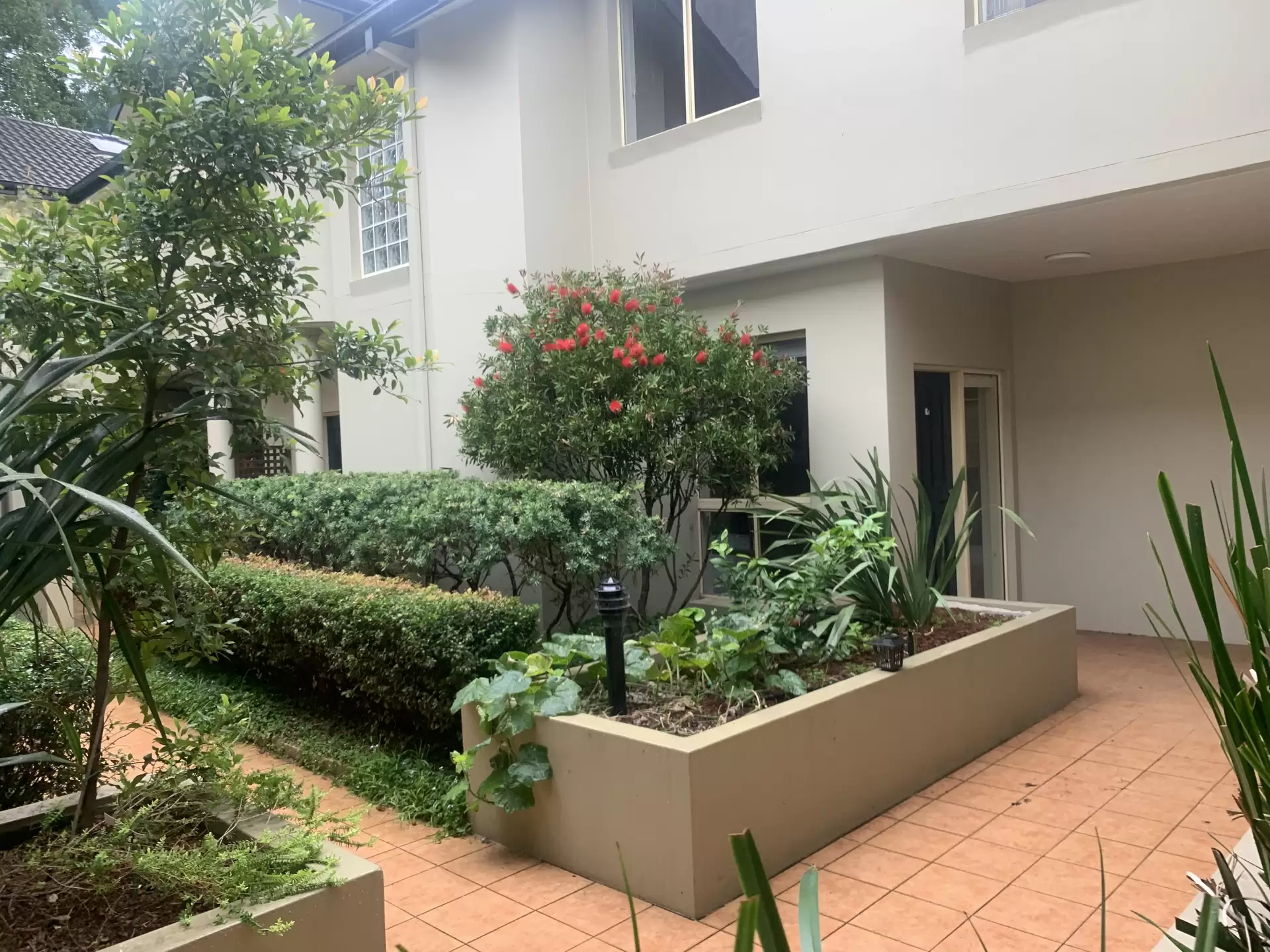 4/159 Perouse Road, Randwick For Lease by Raine & Horne Randwick | Coogee | Clovelly - image 1