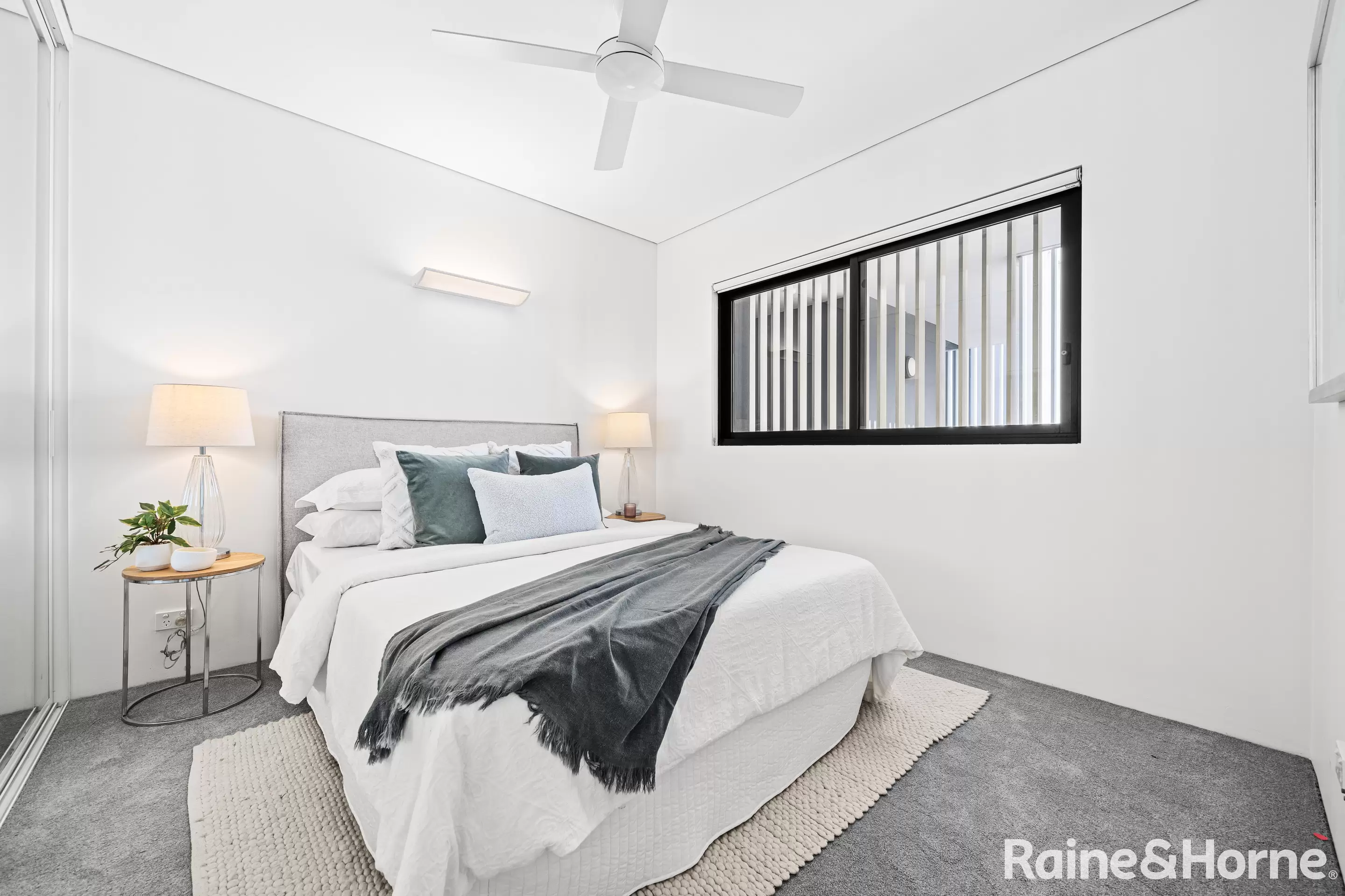 102/207 Barker Street, Randwick Auction by Raine & Horne Randwick | Coogee | Clovelly - image 3