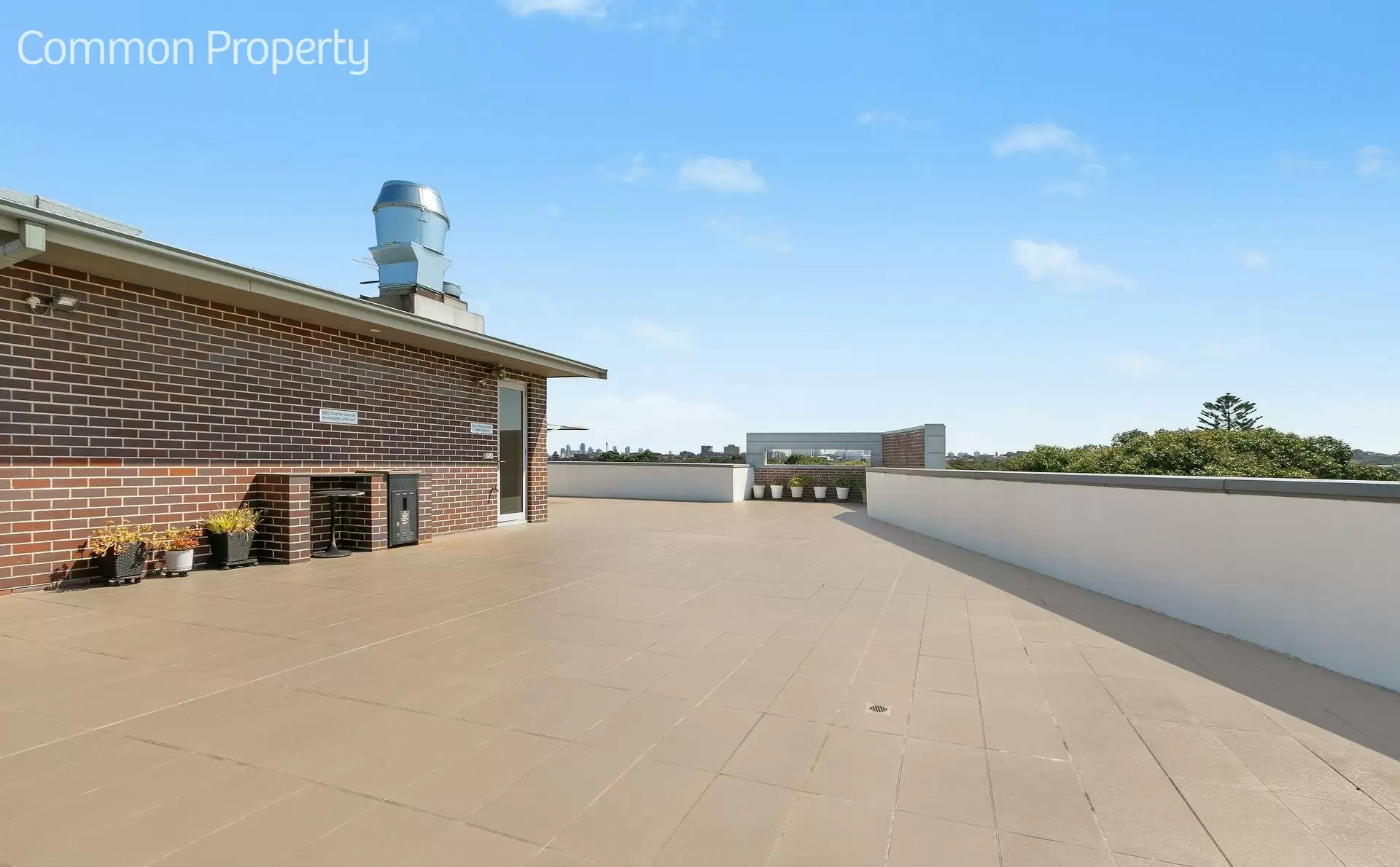 8/19 Shepherd Street, Maroubra For Lease by Raine & Horne Randwick | Coogee | Clovelly - image 8
