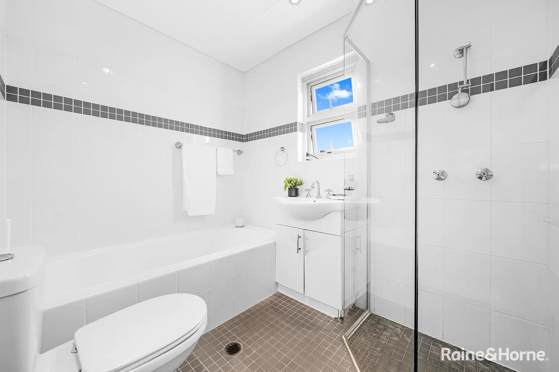 3/34 Avoca Street, Randwick For Lease by Raine & Horne Randwick | Coogee | Clovelly - image 1