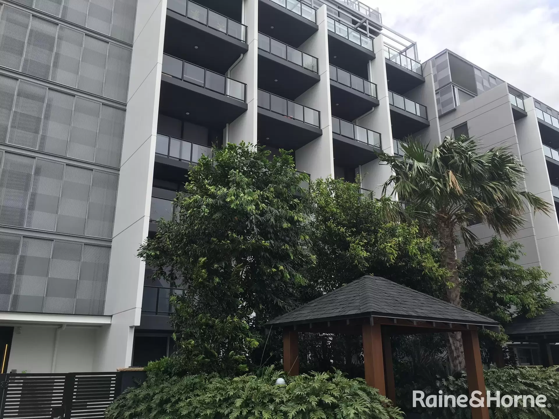 C203/15 Joynton Avenue, Zetland For Lease by Raine & Horne Randwick | Coogee | Clovelly - image 1